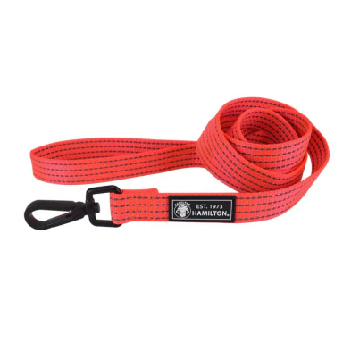 Hamilton Reflective Dog Leash - Hot Orange