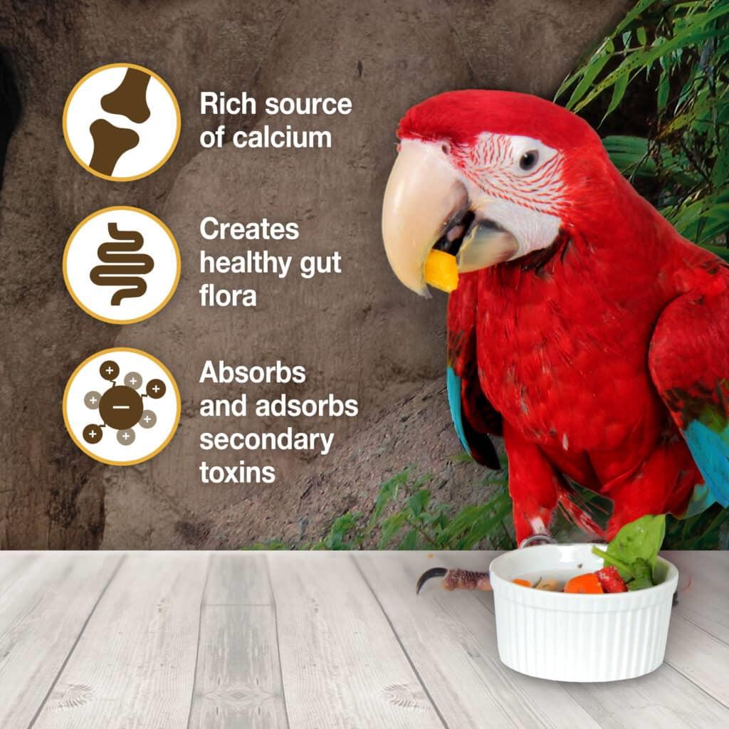Hari Clay-Cal Bentonite Clay Supplement for Birds 575g - Image 2