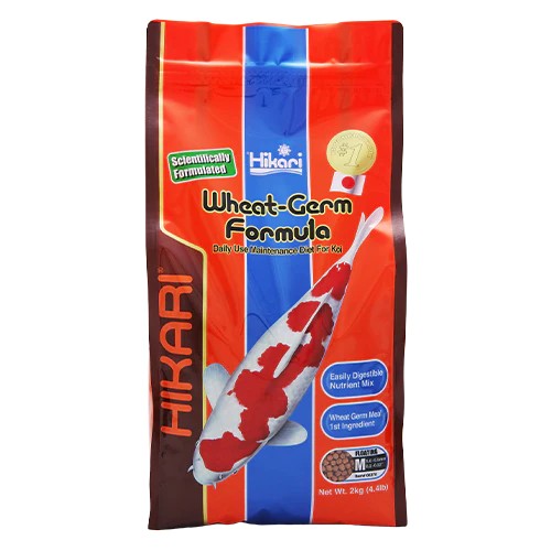 Hikari Wheat-Germ Formula - Medium Floating Pellet - Image 2