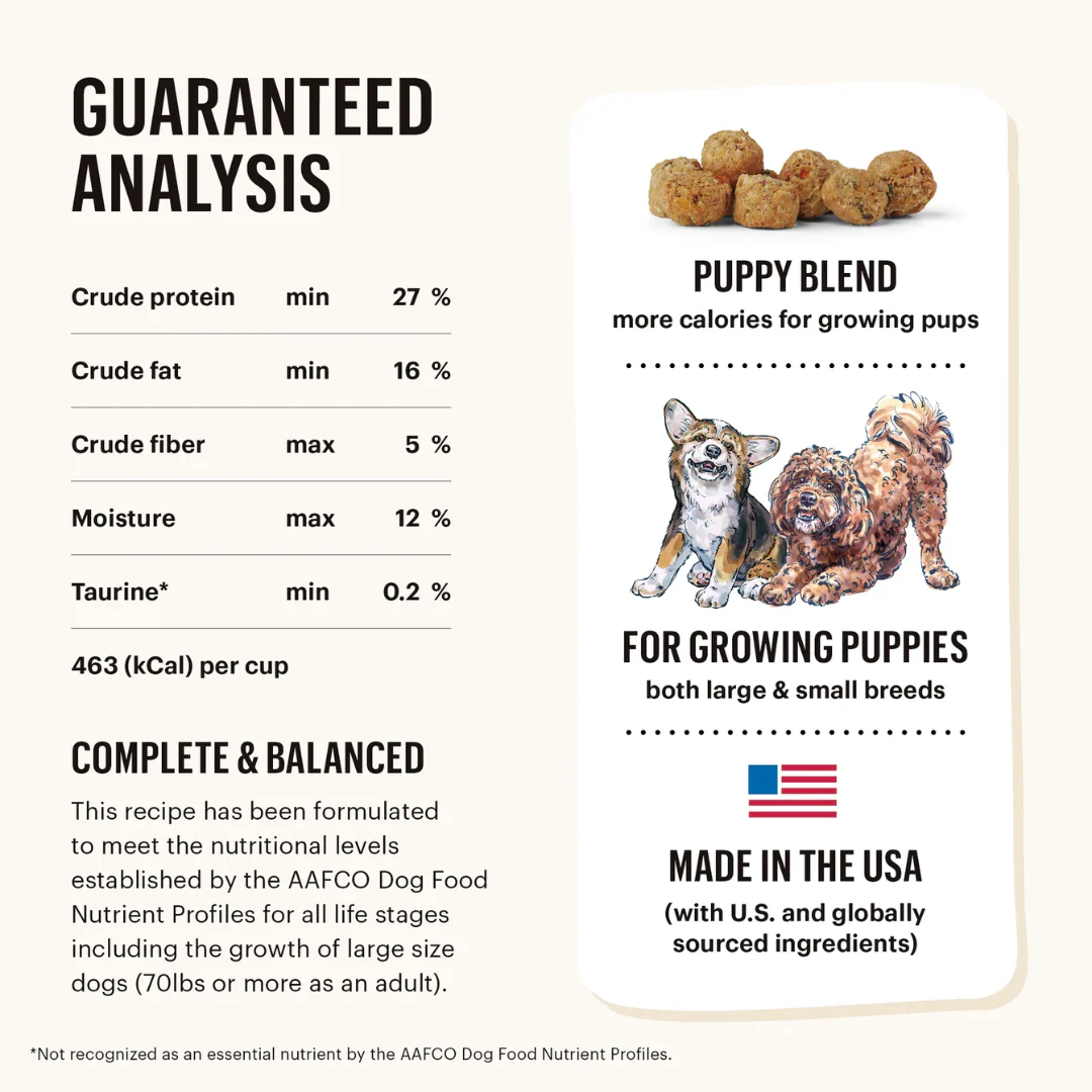 Honest Kitchen Grain Free Chicken Clusters for Puppies - Image 6
