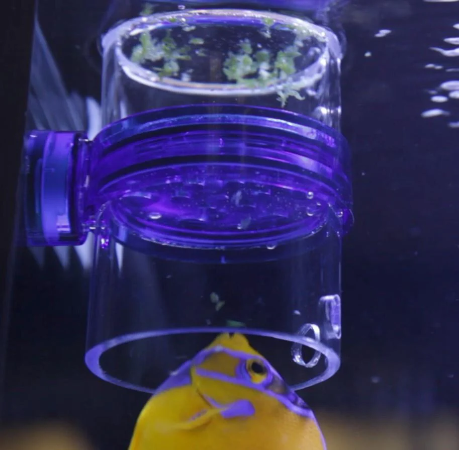 Innovative Marine Gourmet Defroster Pro - Image 4