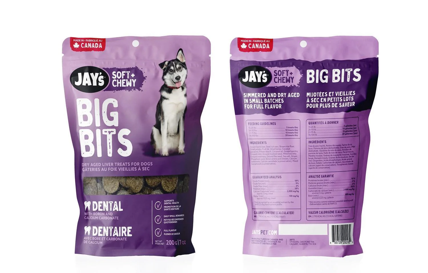 Jay's Big Bits Dental - Available in 2 Sizes - Image 2