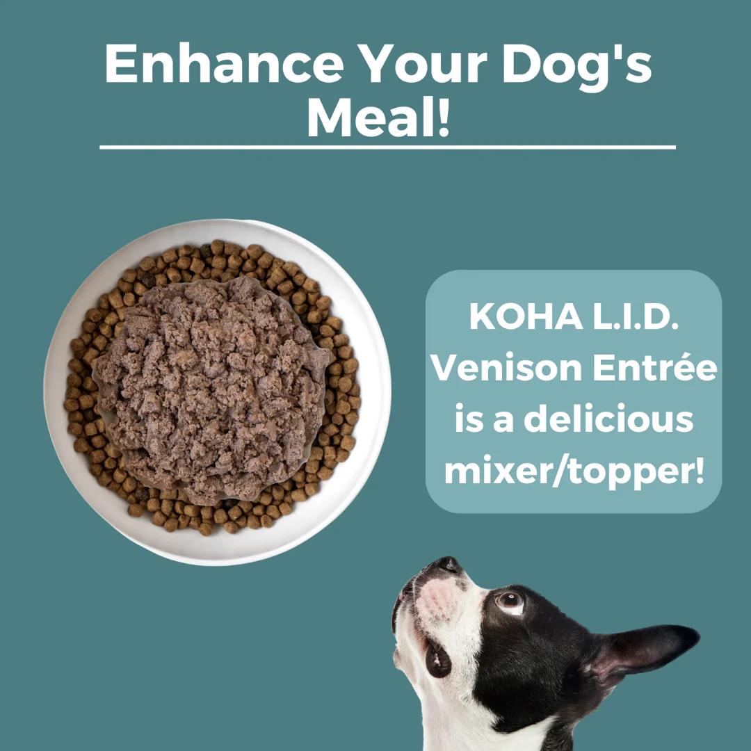Koha Limited Ingredient Diet Venison Entrée for Dogs 369g - Image 5