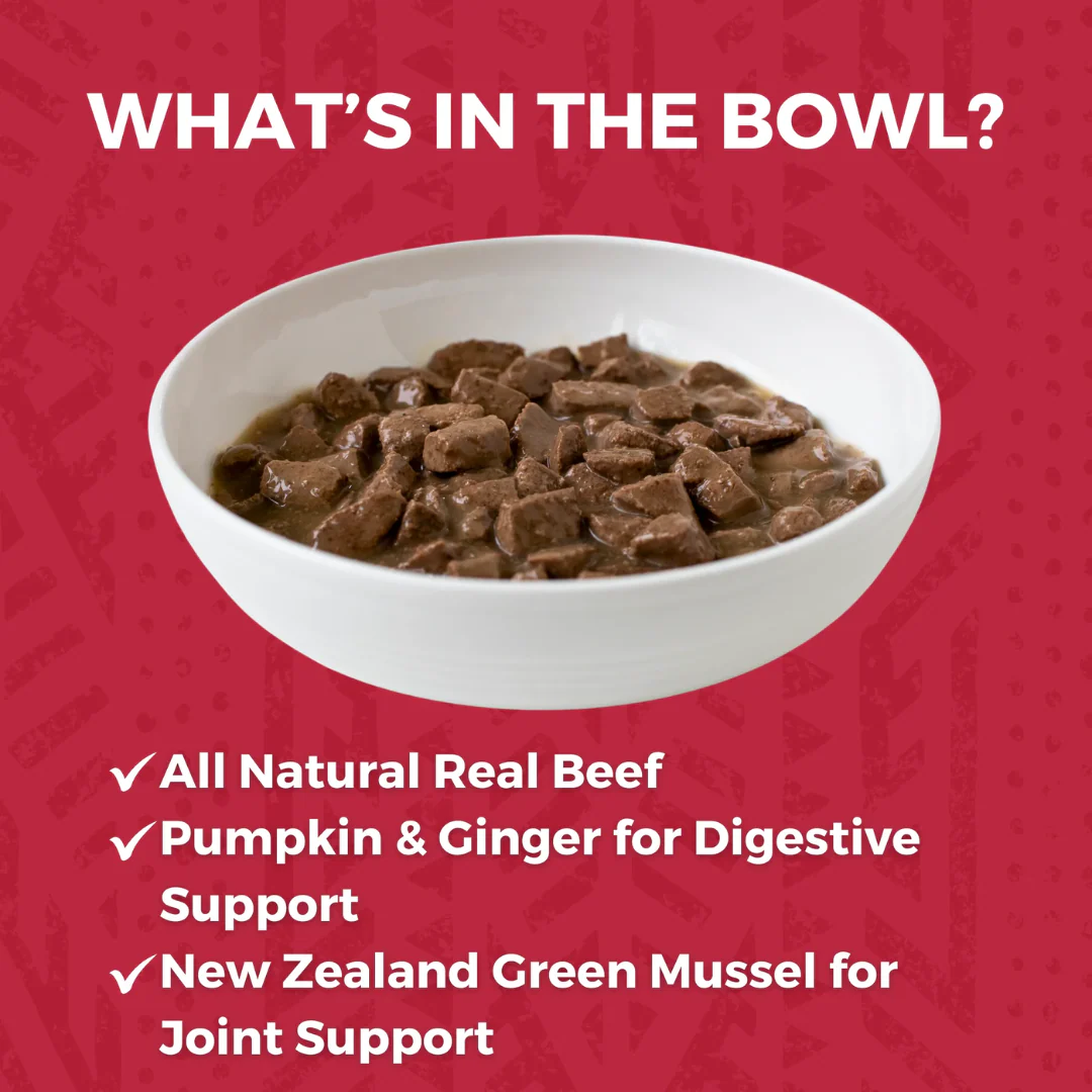 Koha Minimal Ingredient Beef Stew for Dogs 360g - Image 2