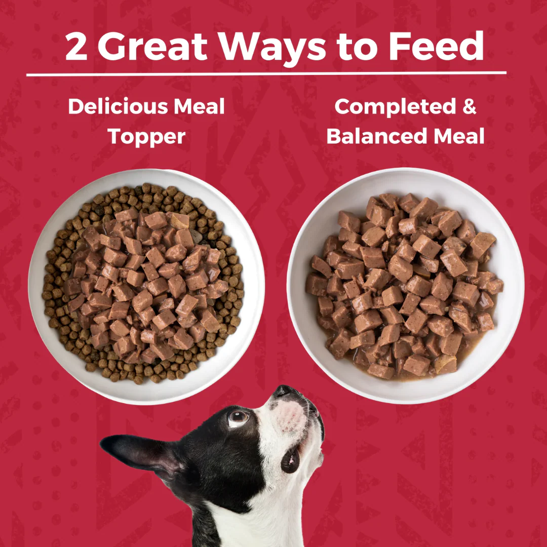 Koha Minimal Ingredient Beef Stew for Dogs 360g - Image 3