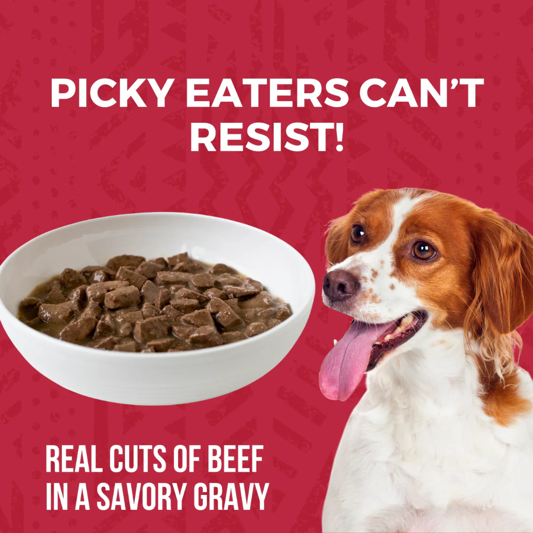 Koha Minimal Ingredient Beef Stew for Dogs 360g - Image 4