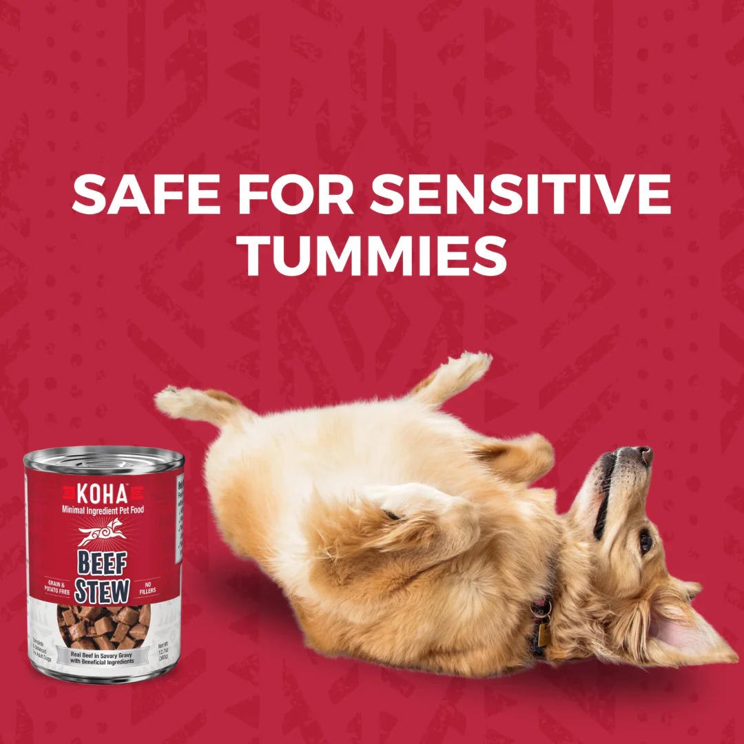 Koha Minimal Ingredient Beef Stew for Dogs 360g - Image 5