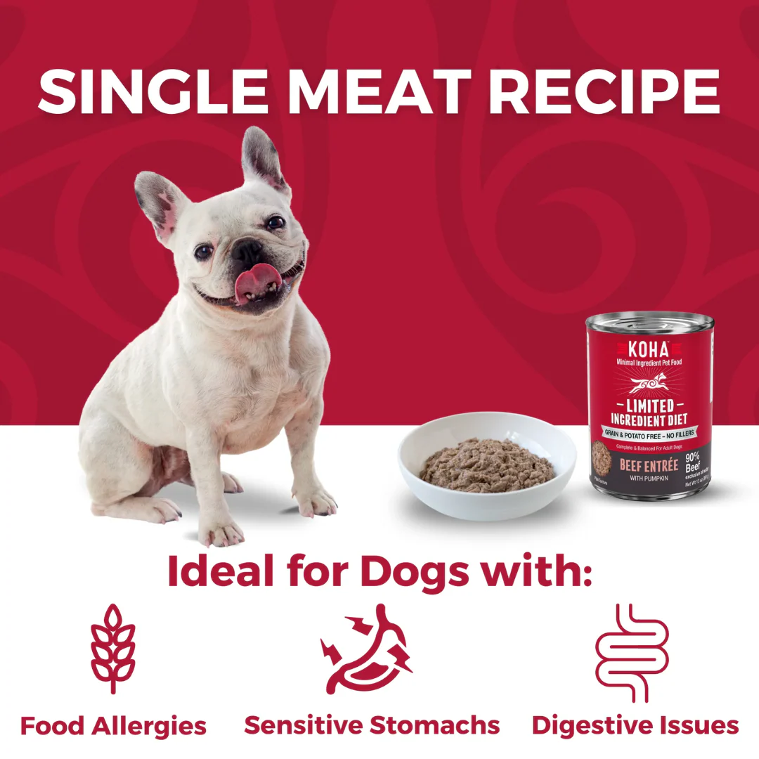 Koha Limited Ingredient Diet Beef Entrée for Dogs 369g - Image 3