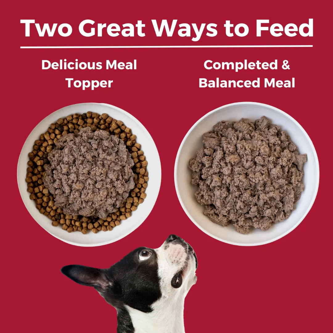 Koha Limited Ingredient Diet Beef Entrée for Dogs 369g - Image 5