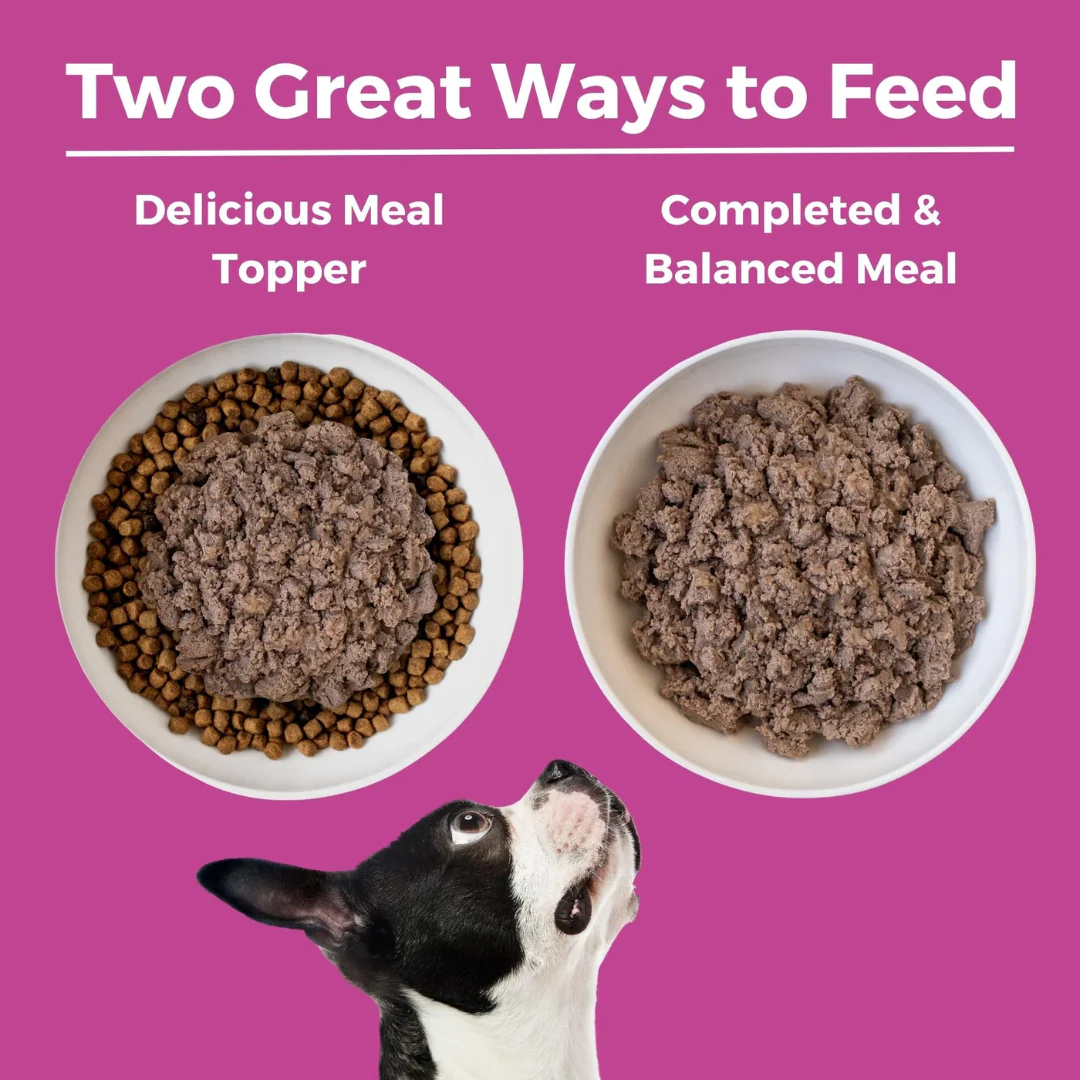 Koha Limited Ingredient Diet Pork Entrée for Dogs 369g - Image 5