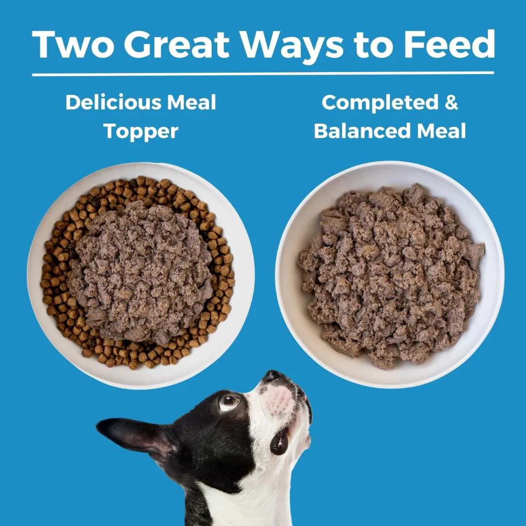 Koha Limited Ingredient Diet Lamb Entrée for Dogs 369g - Image 5