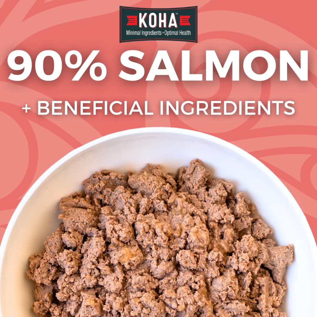 Koha Limited Ingredient Diet Salmon Entrée for Dogs 369g - Image 2