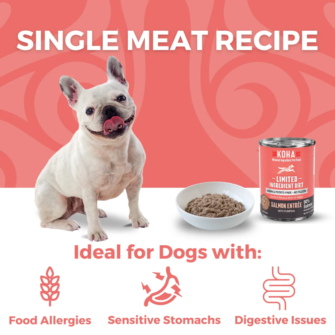 Koha Limited Ingredient Diet Salmon Entrée for Dogs 369g - Image 3