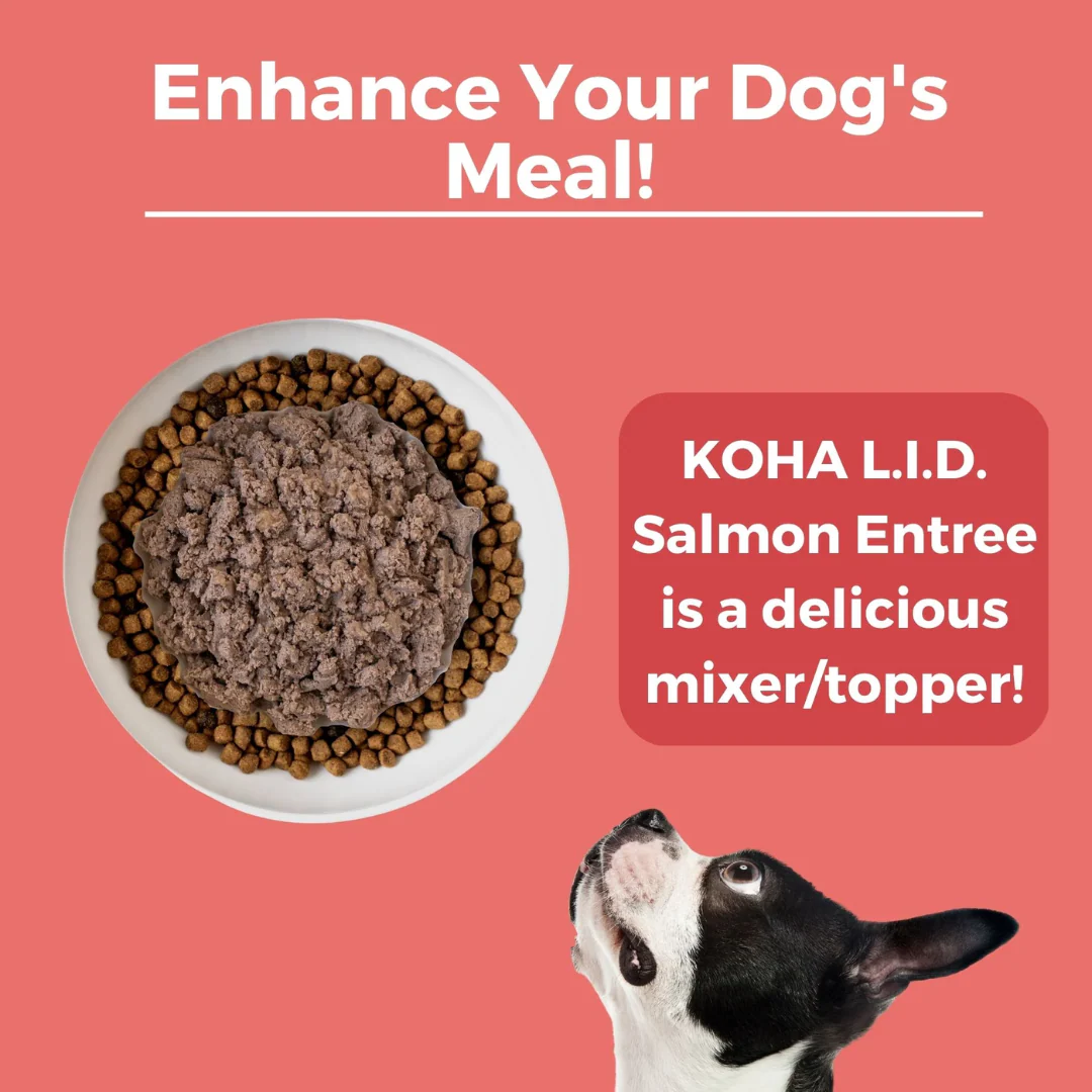 Koha Limited Ingredient Diet Salmon Entrée for Dogs 369g - Image 5