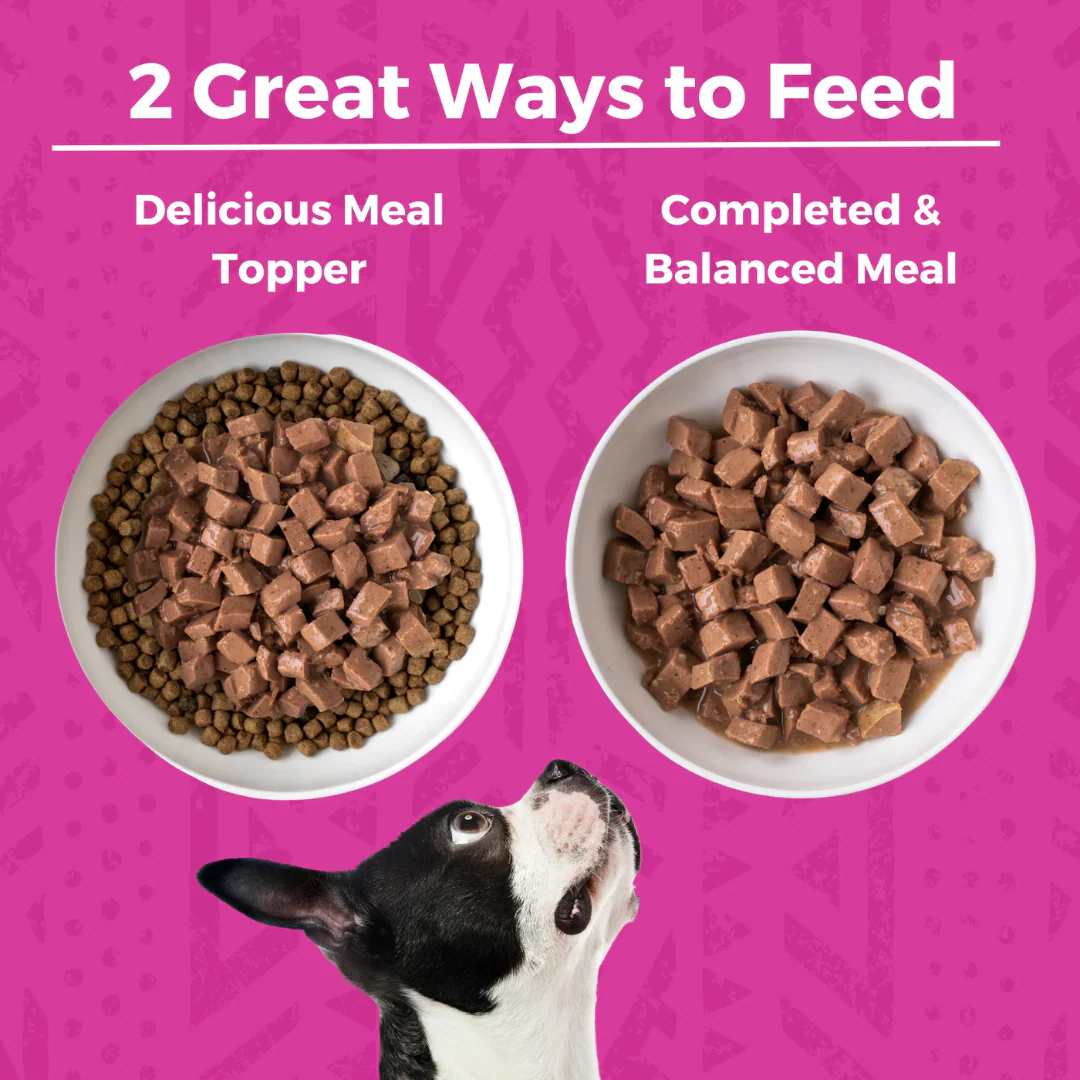 Koha Minimal Ingredient Pork Stew for Dogs 360g - Image 3