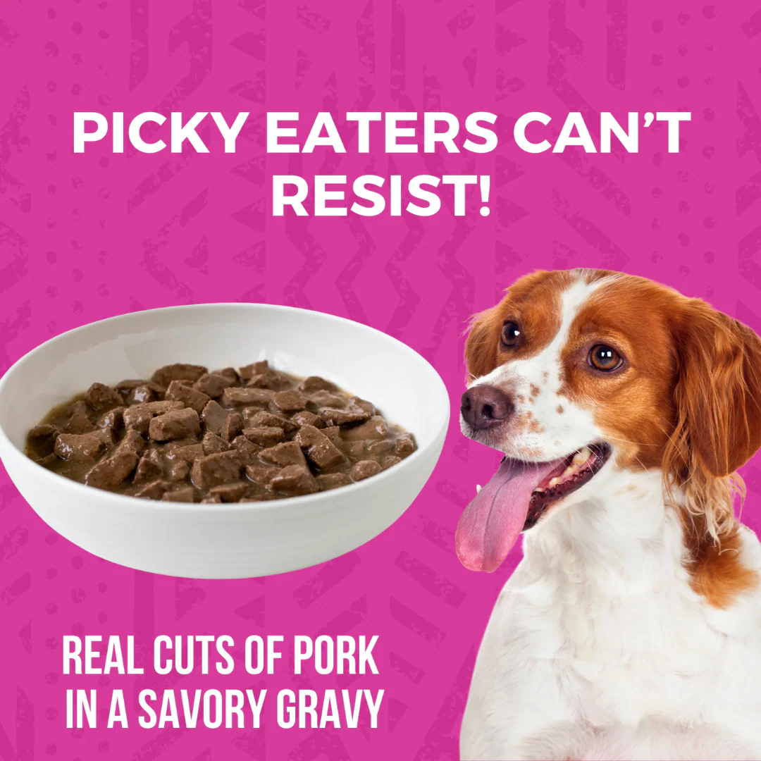 Koha Minimal Ingredient Pork Stew for Dogs 360g - Image 4