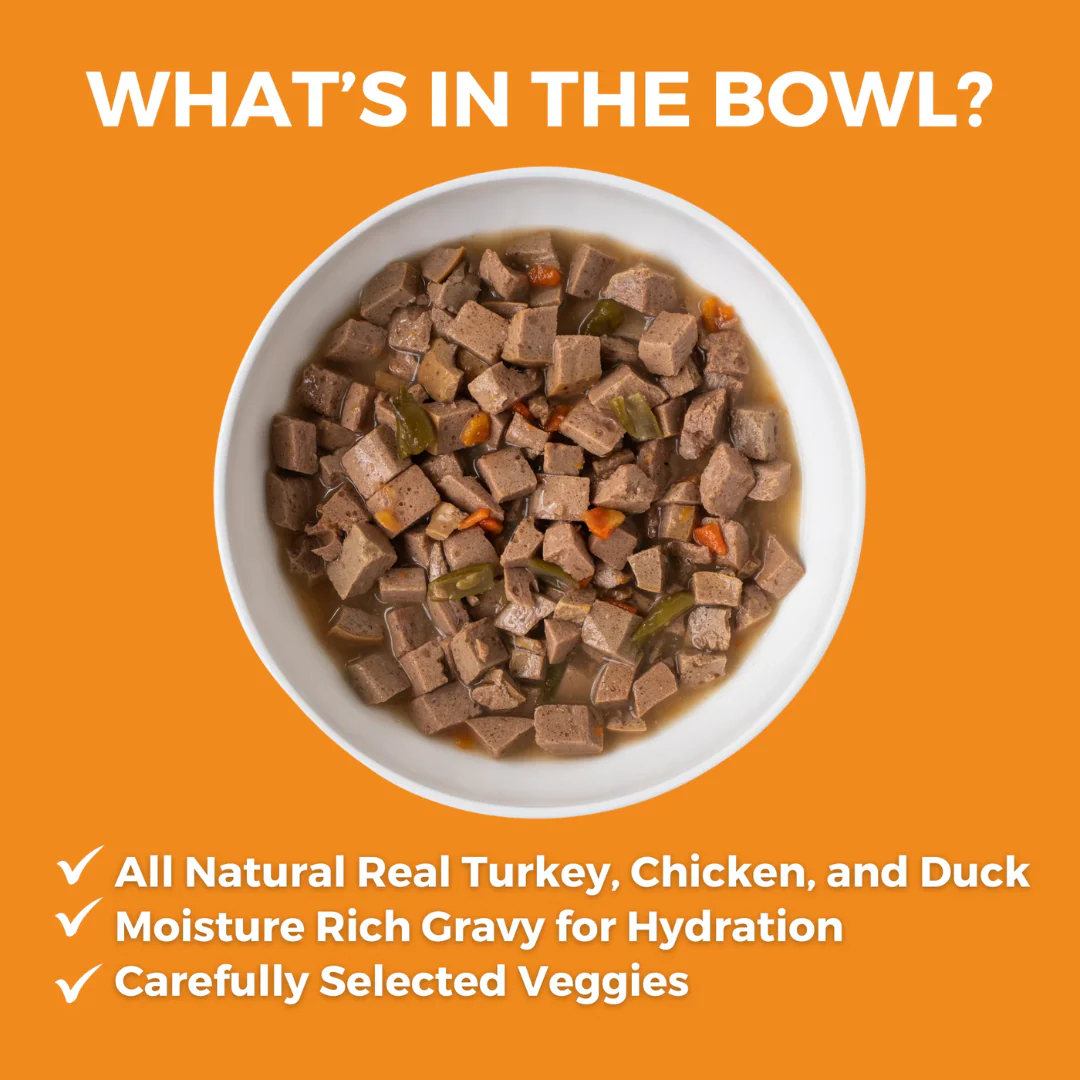 Koha Big Easy Feast Turkey, Chicken & Duck Recipe for Dogs 360g - Image 2