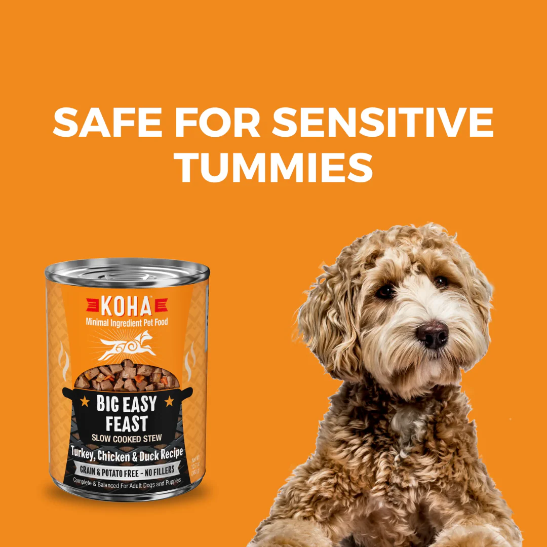 Koha Big Easy Feast Turkey, Chicken & Duck Recipe for Dogs 360g - Image 4