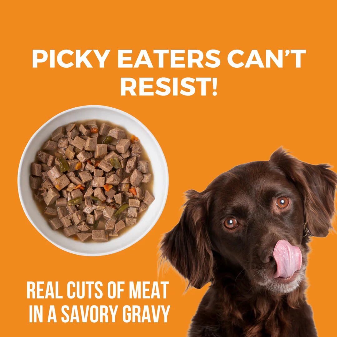 Koha Big Easy Feast Turkey, Chicken & Duck Recipe for Dogs 360g - Image 5
