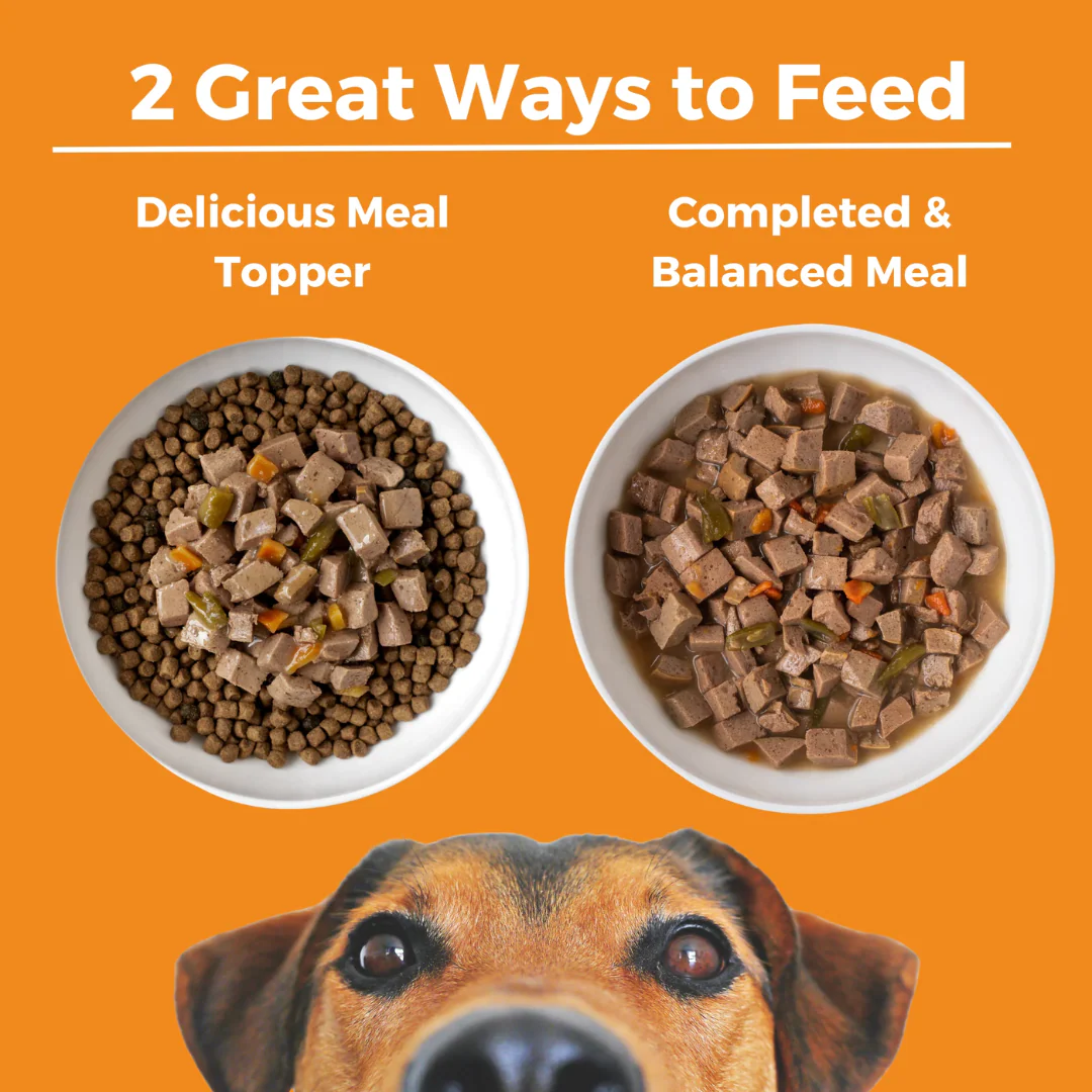 Koha Big Easy Feast Turkey, Chicken & Duck Recipe for Dogs 360g - Image 6