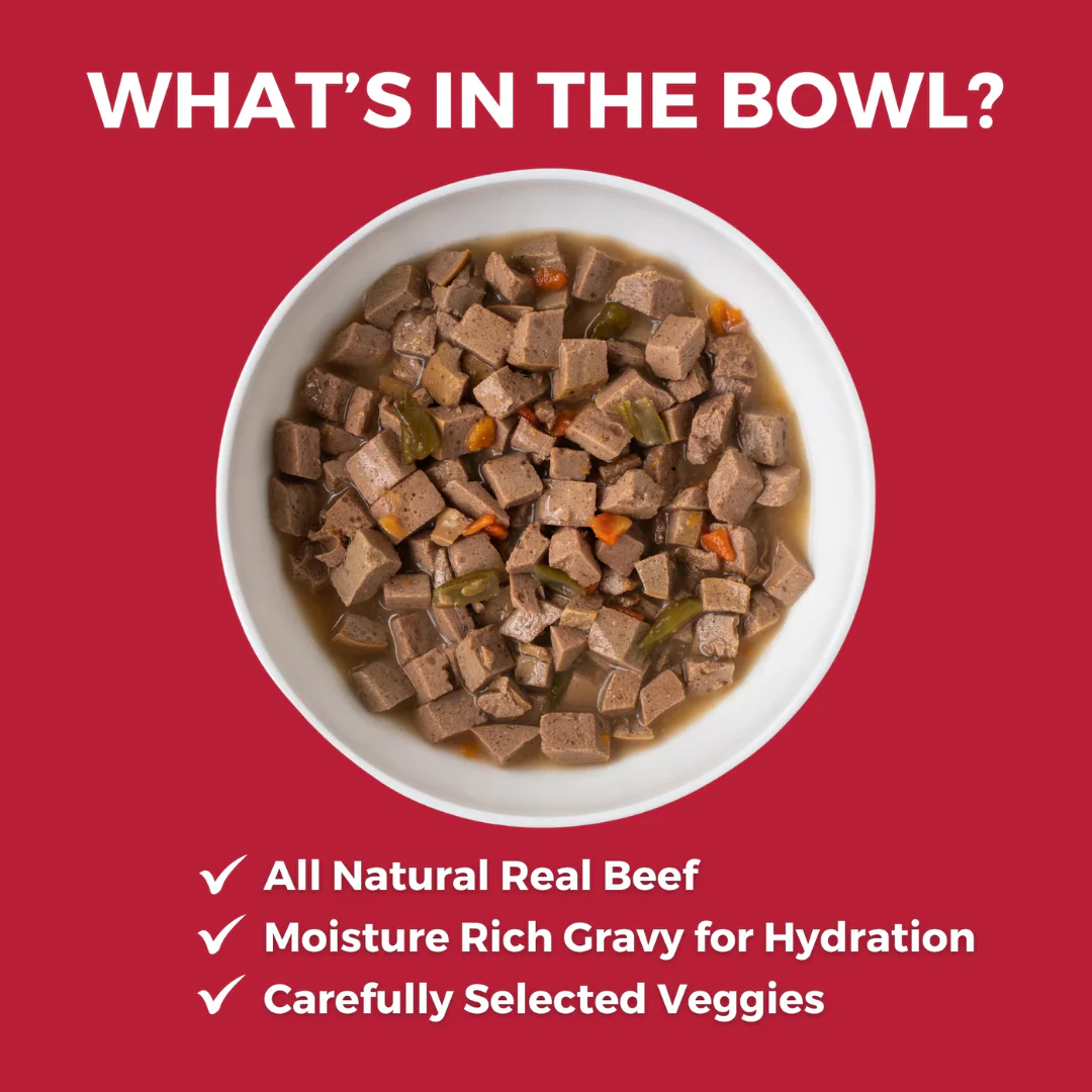 Koha Lone Star Brisket Beef Recipe for Dogs 360g - Image 2
