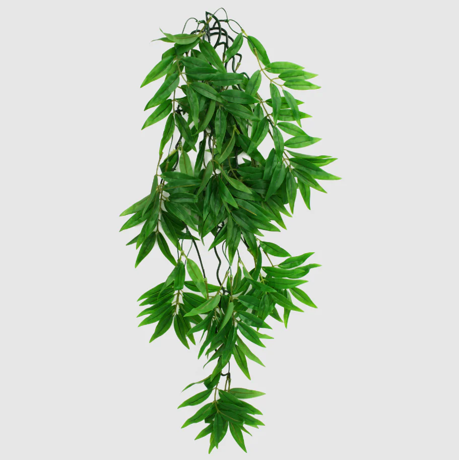Komodo Climbing Bamboo Plant - Image 2