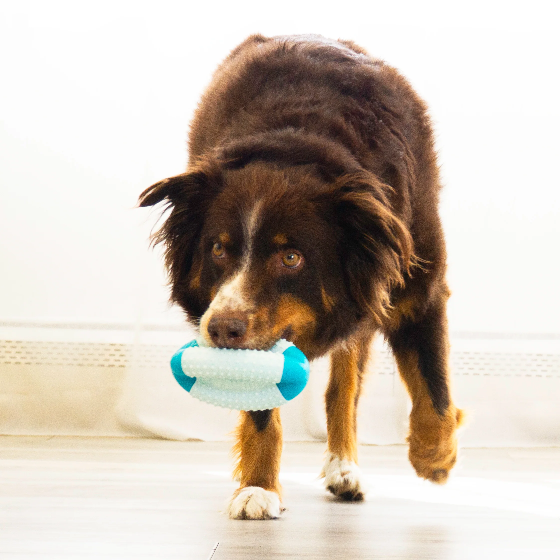 Kong Goomz Dental Football Dog Toy - Image 3