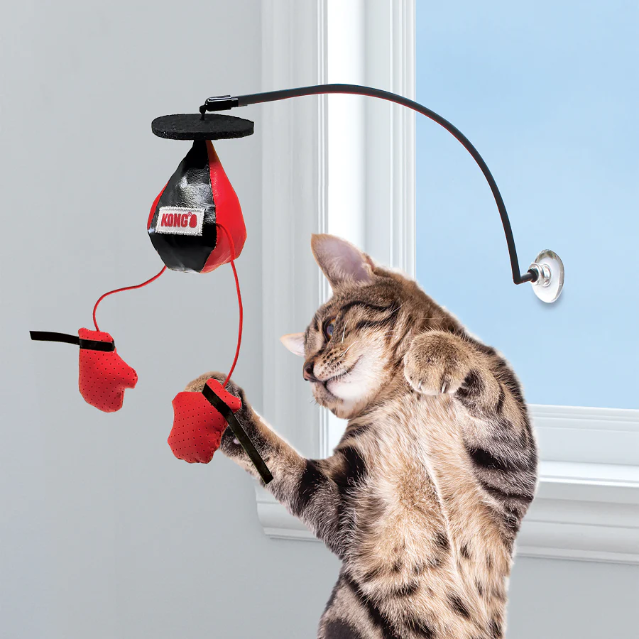 Kong Connects Window Boxing for Cats - Image 2