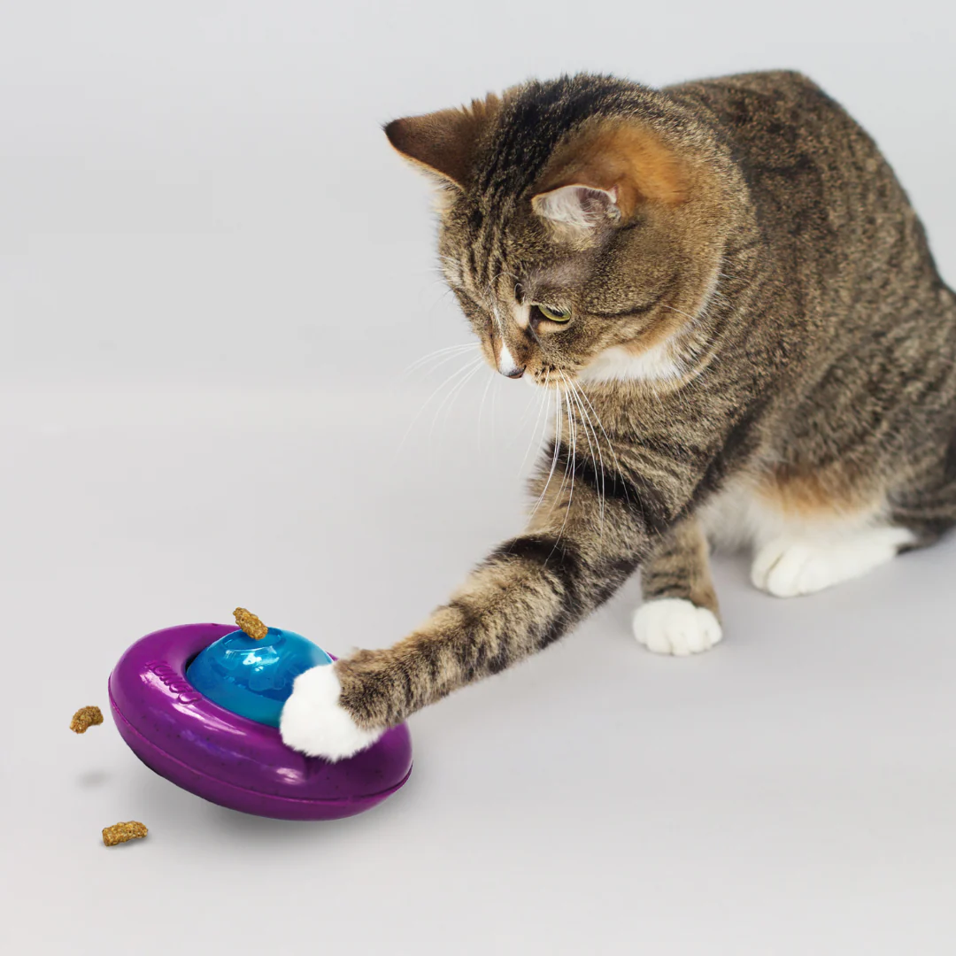 Kong Infused Gyro Cat Toy - Image 3