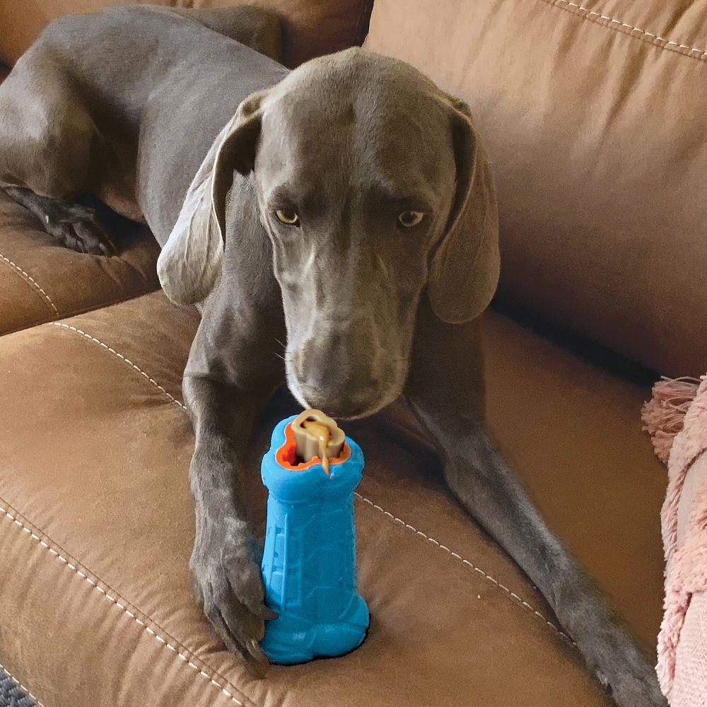 Kong Treatster - Image 2