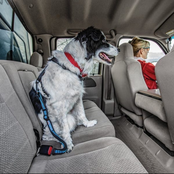 Kurgo Direct to Seatbelt Tether - Image 4
