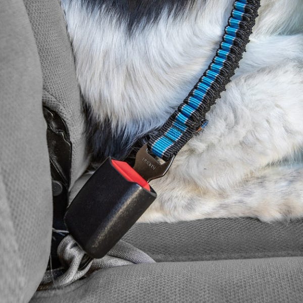 Kurgo Direct to Seatbelt Tether - Image 5