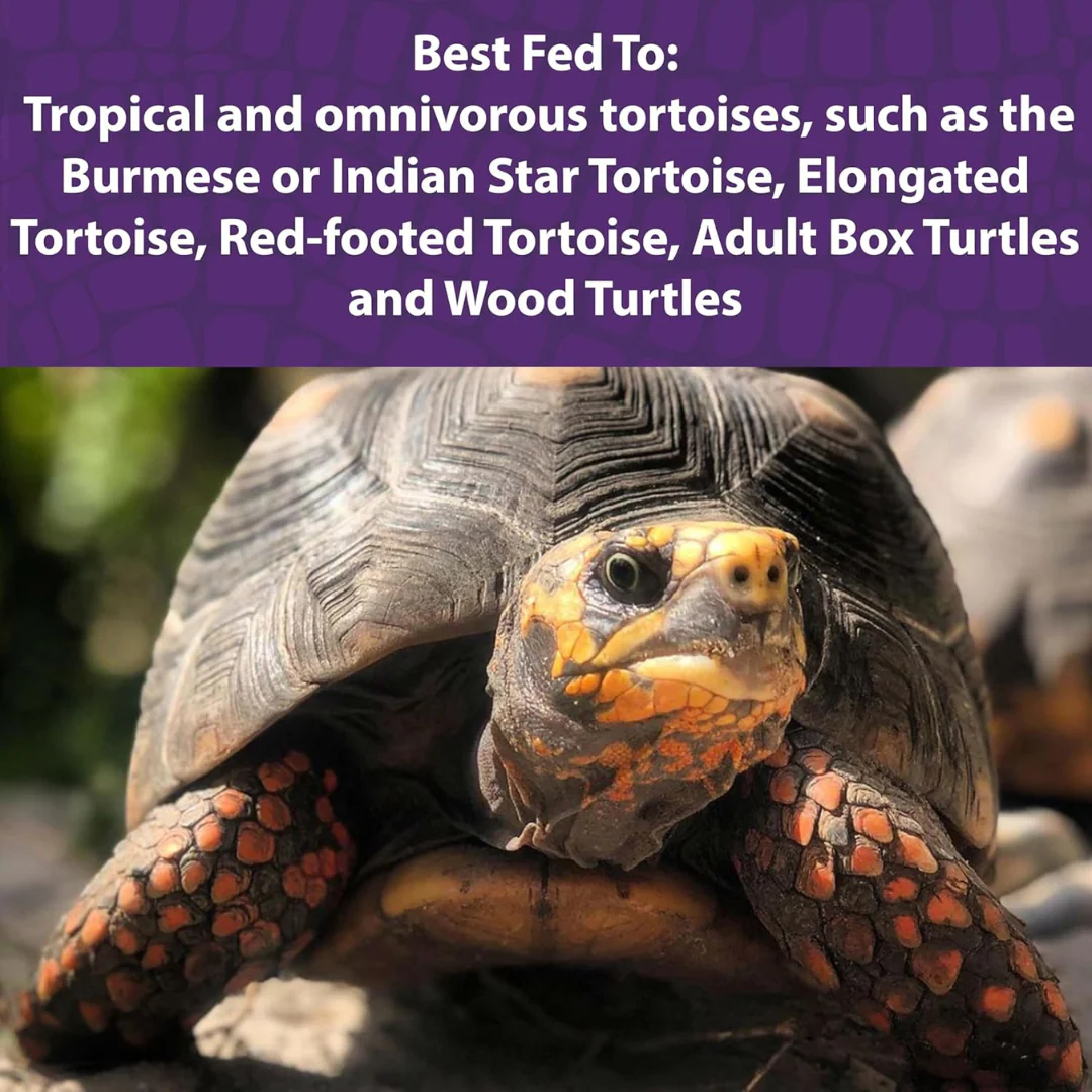 Mazuri Tortoise Diet 566g - Image 3