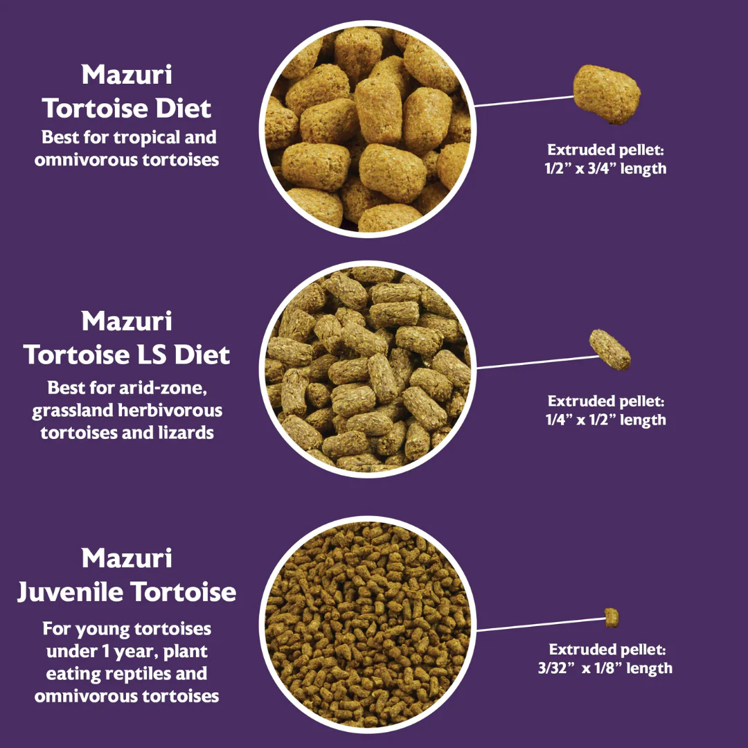 Mazuri Tortoise Diet 566g - Image 5