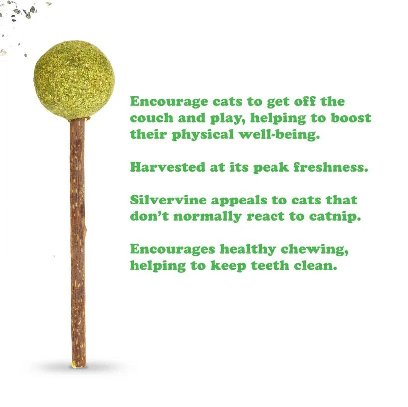 Meowijuana Lollies Silvervine Sticks With Catnip - 3 Pack - Image 3