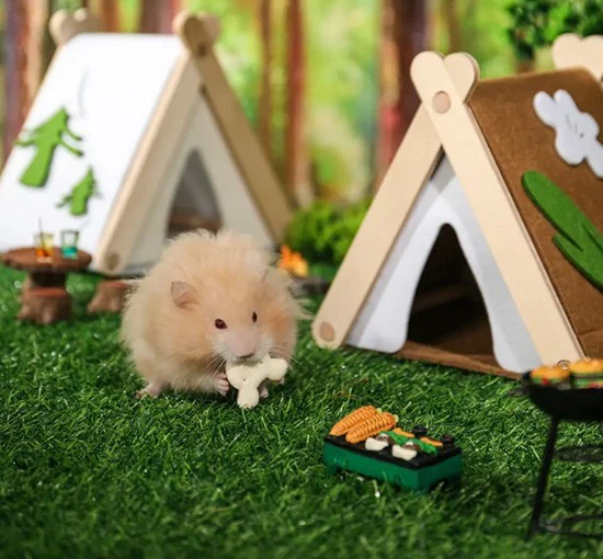 Mini & Moe Camping Tent Hide for Small Pets - Image 2