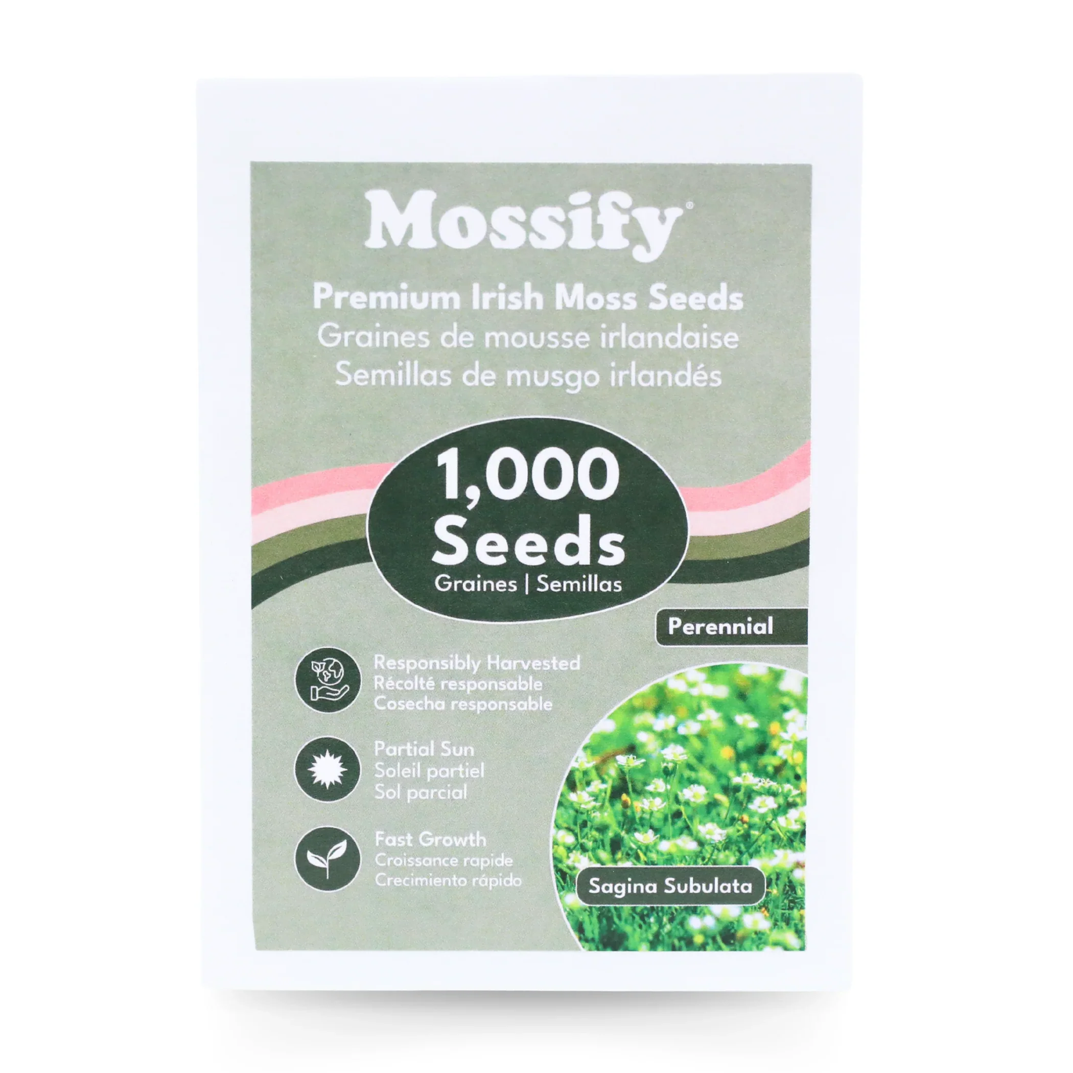 Mossify Irish Moss Seeds 1000pk