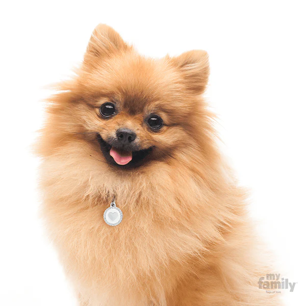 My Family Circle & Heart Pet ID Tag - Image 8