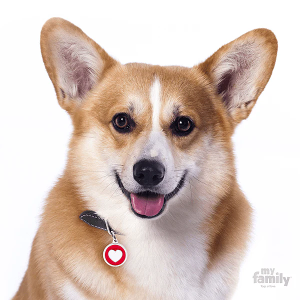 My Family Circle & Heart Pet ID Tag - Image 3