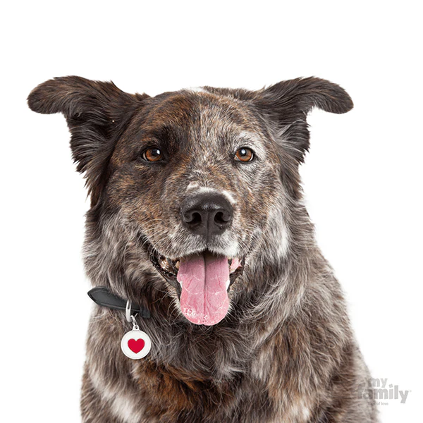 My Family Circle & Heart Pet ID Tag - Image 4