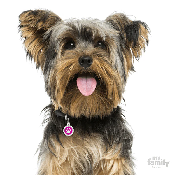 My Family Circle & Paw Pet ID Tag - Image 8
