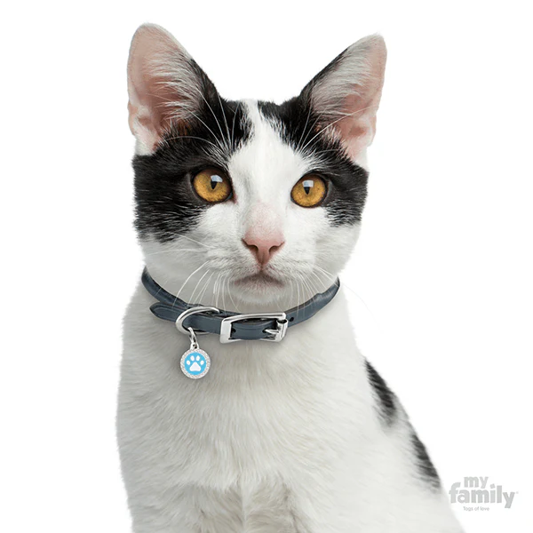 My Family Circle & Paw Pet ID Tag - Image 9