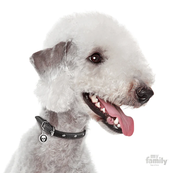 My Family Circle & Skull Pet ID Tag - Image 8