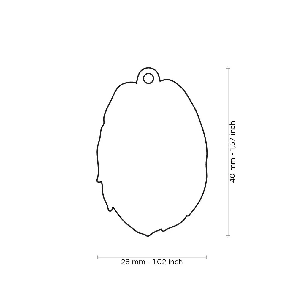 MyFamily Pet ID Tag - Briard Dog Tag - Image 2