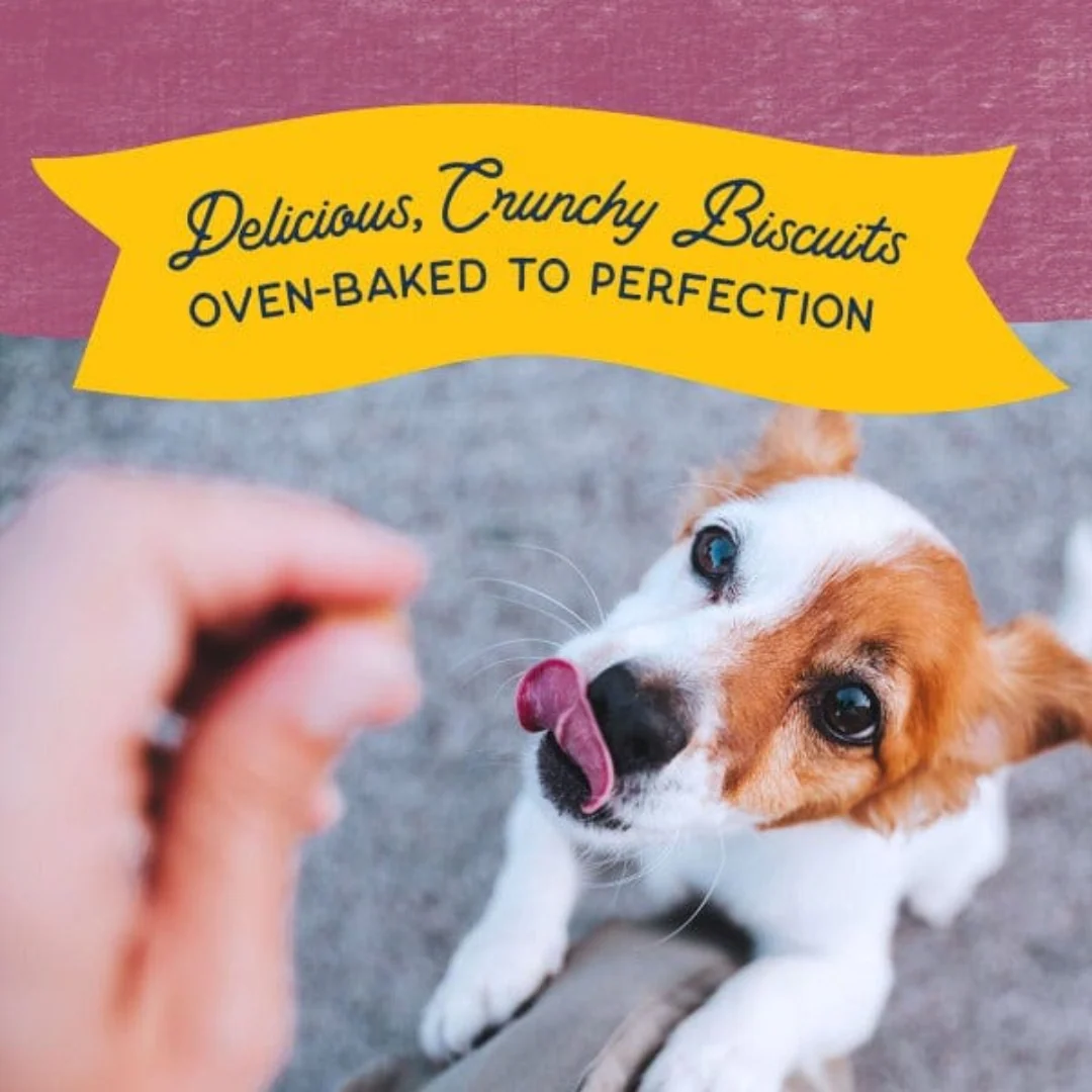 Natural Balance Rewards Bite-Size Crunchy Biscuits with Real Venison - Small Breed 8oz - Image 5