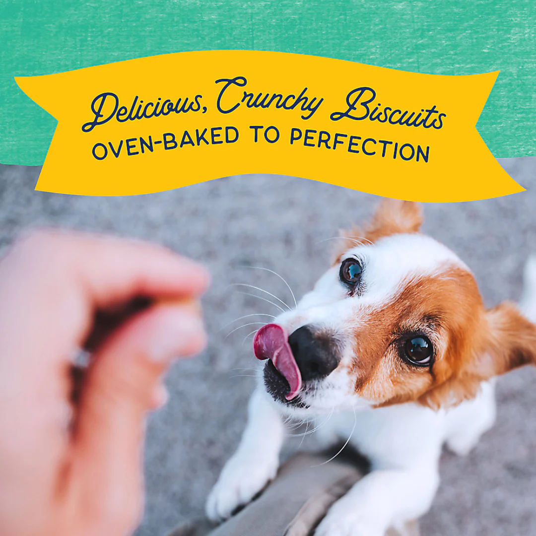 Natural Balance Rewards Bite-Size Crunchy Biscuits with Real Chicken - Small Breed 8oz - Image 5