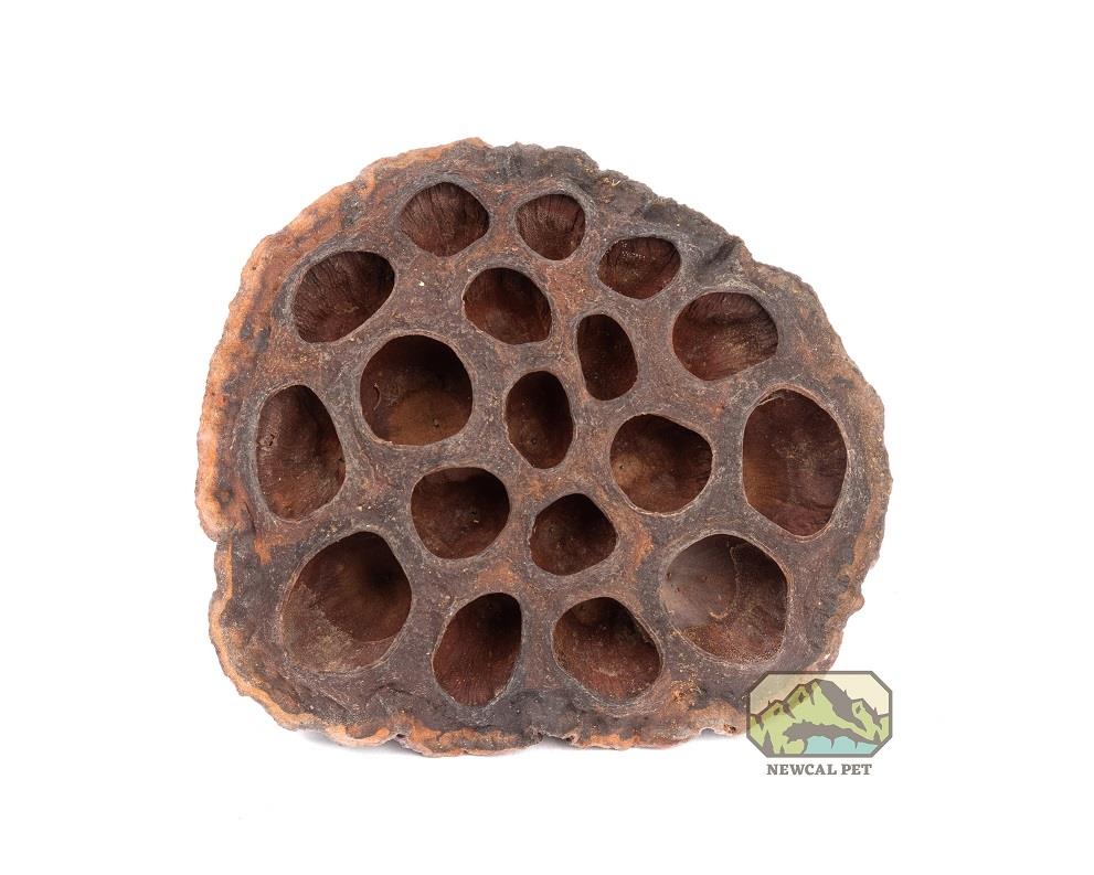 NewCal Lotus Pods 3-Pack - Image 3