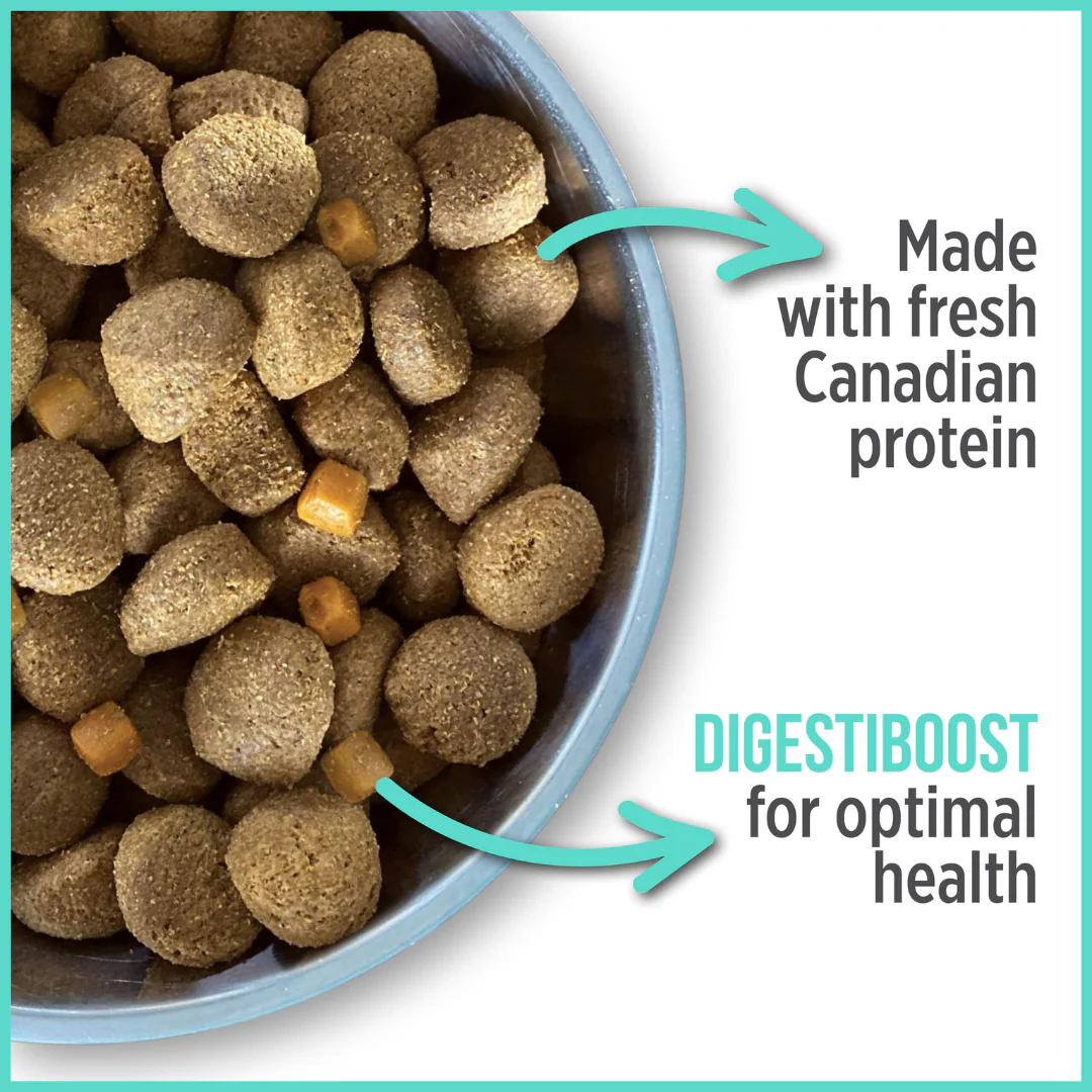 Nutrience Care Oral Health Dog Food - Image 4