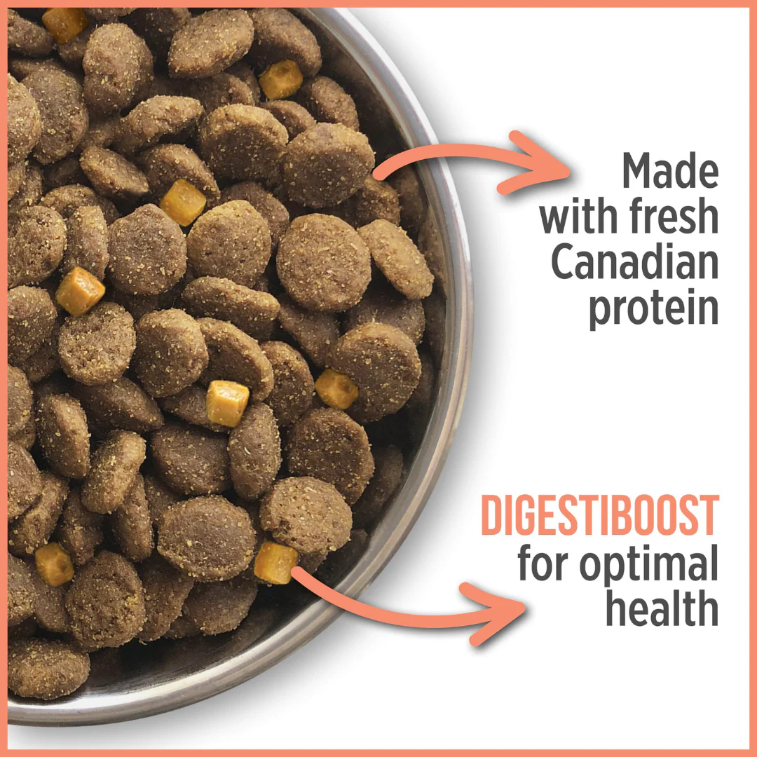 Nutrience Care Sensitive Skin & Stomach Dog Food - Image 4