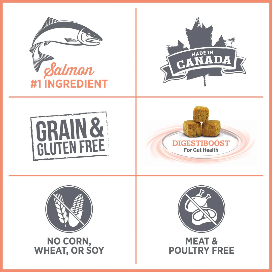Nutrience Care Sensitive Skin & Stomach Dog Food - Image 6